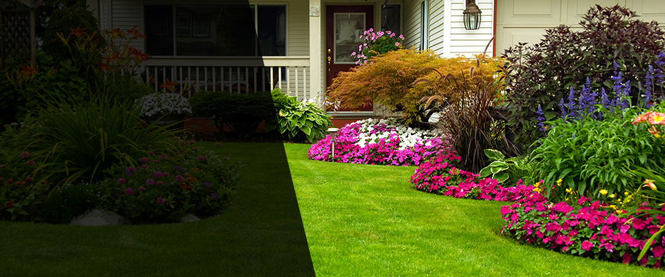 Elsie Landscapers
