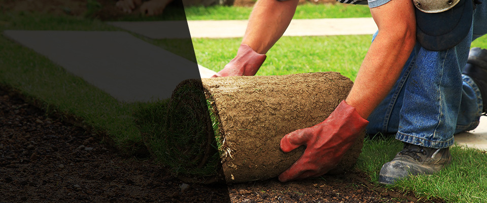 Elsie Landscapers